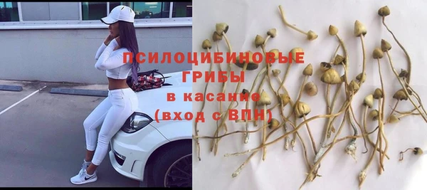 дурь Алзамай