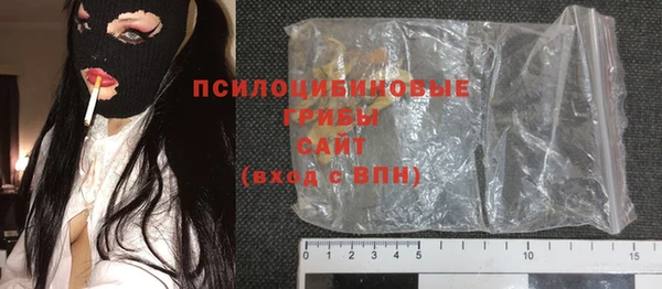 дурь Алзамай
