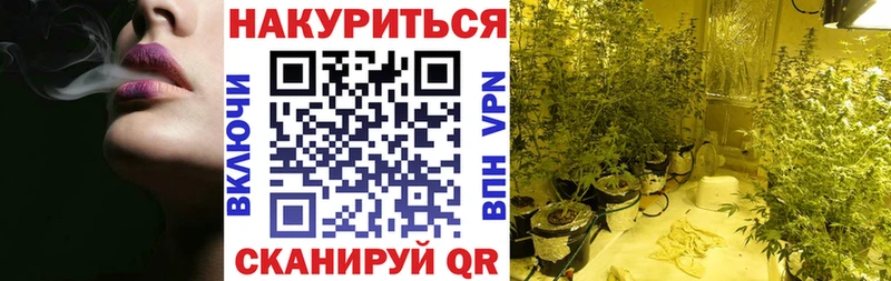 Шишки марихуана планчик  где купить наркоту  Омск 
